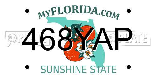 468YAP Florida License Plate