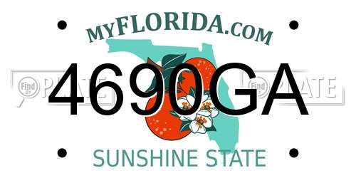4690GA Florida License Plate