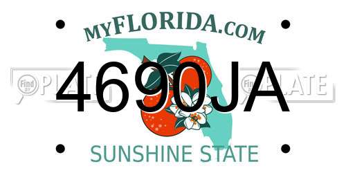 4690JA Florida License Plate