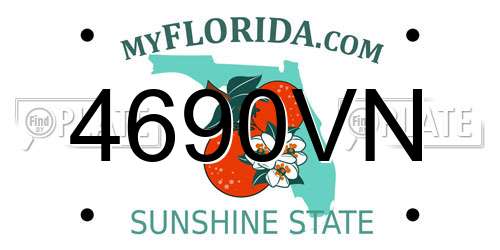 4690VN Florida License Plate
