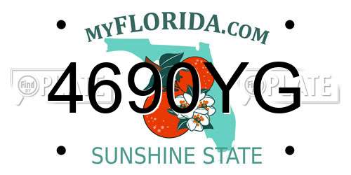 4690YG Florida License Plate