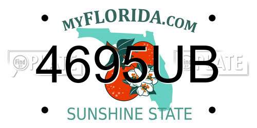 4695UB Florida License Plate