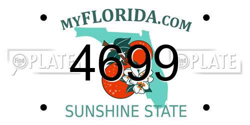 4699 Florida License Plate