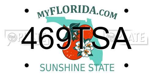 469TSA Florida License Plate