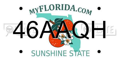 46AAQH Florida License Plate