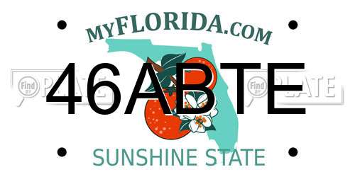 46ABTE Florida License Plate