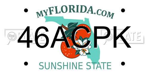 46ACPK Florida License Plate