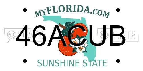 46ACUB Florida License Plate