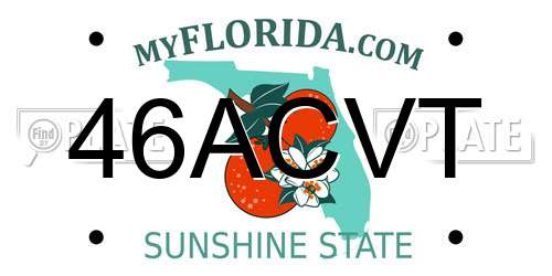 46ACVT Florida License Plate