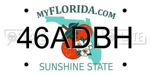 46ADBH Florida License Plate