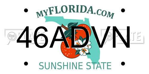 46ADVN Florida License Plate