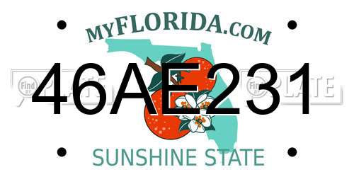 46AE231 Florida License Plate