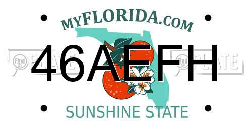46AEFH Florida License Plate