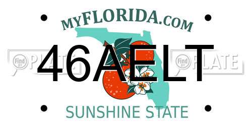 46AELT Florida License Plate