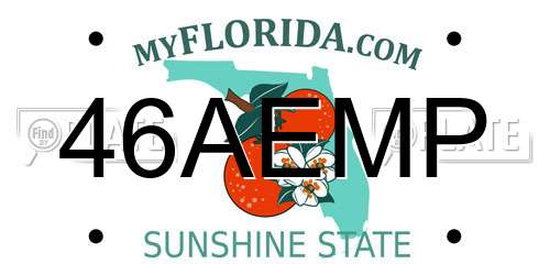 46AEMP Florida License Plate