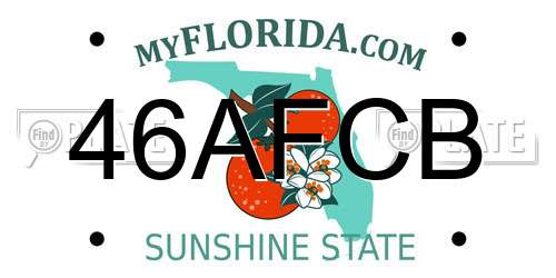 46AFCB Florida License Plate