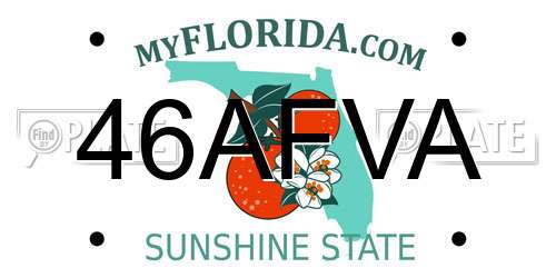46AFVA Florida License Plate