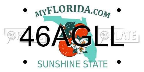 46AGLL Florida License Plate