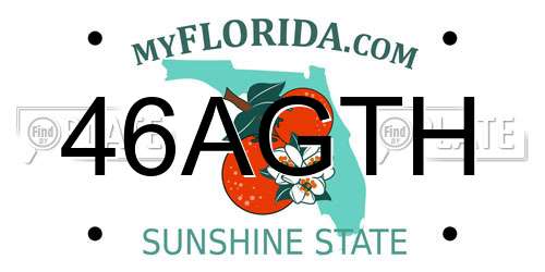 46AGTH Florida License Plate