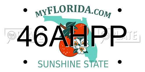 46AHPP Florida License Plate