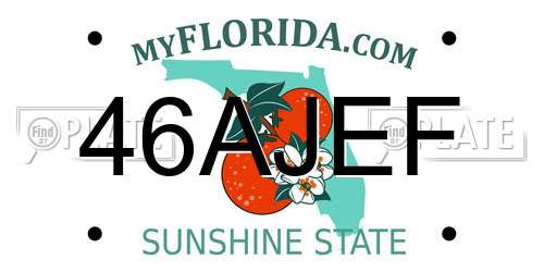 46AJEF Florida License Plate
