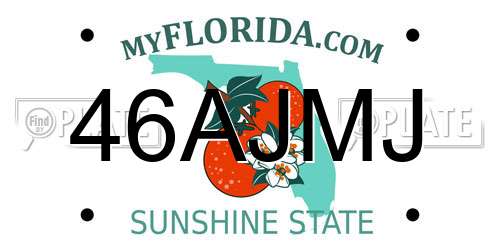 46AJMJ Florida License Plate
