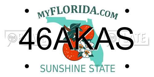 46AKAS Florida License Plate