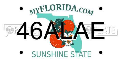 46ALAE Florida License Plate