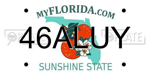 46ALUY Florida License Plate