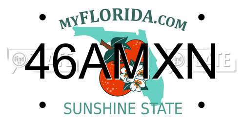 46AMXN Florida License Plate