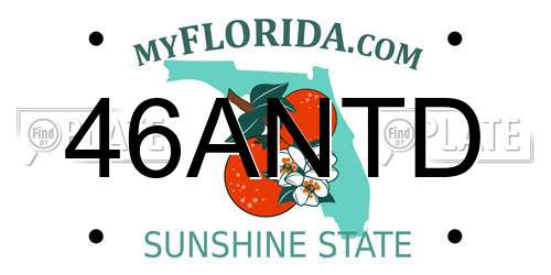 46ANTD Florida License Plate