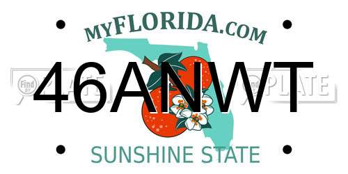 46ANWT Florida License Plate