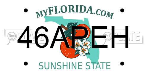 46APEH Florida License Plate