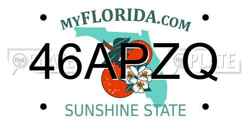 46APZQ Florida License Plate