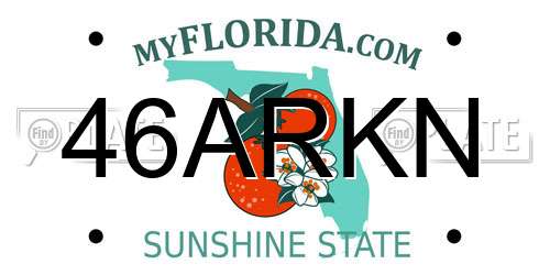 46ARKN Florida License Plate