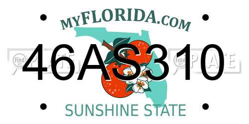 46AS310 Florida License Plate