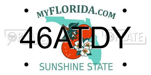 46ATDY Florida License Plate