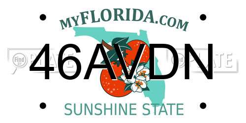 46AVDN Florida License Plate