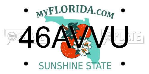 46AVVU Florida License Plate