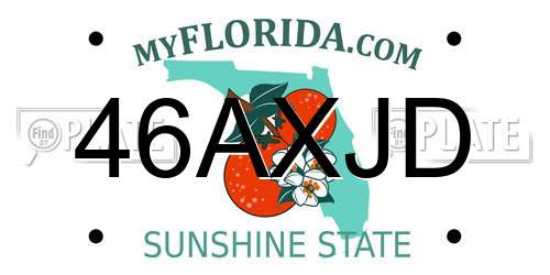 46AXJD Florida License Plate