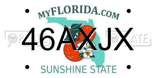 46AXJX Florida License Plate