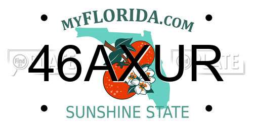 46AXUR Florida License Plate