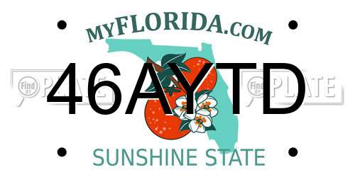 46AYTD Florida License Plate
