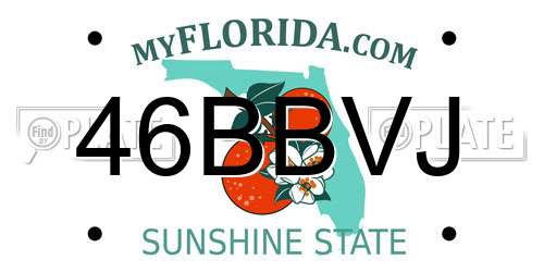 46BBVJ Florida License Plate