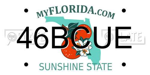 46BCUE Florida License Plate