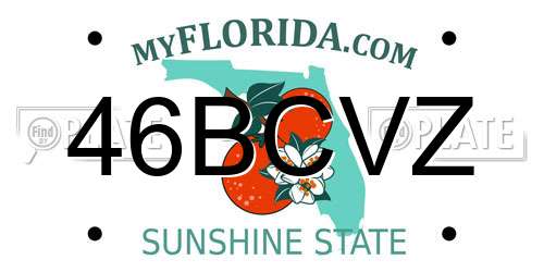 46BCVZ Florida License Plate