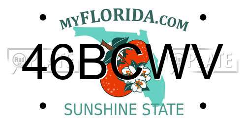 46BCWV Florida License Plate