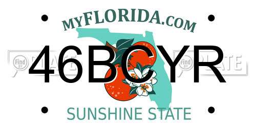 46BCYR Florida License Plate