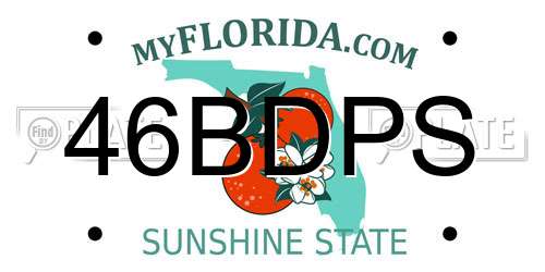 46BDPS Florida License Plate