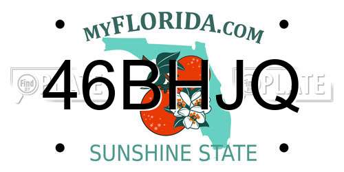 46BHJQ Florida License Plate